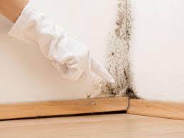 Best Mold Removal for HVAC Installations in White Bluff, TN